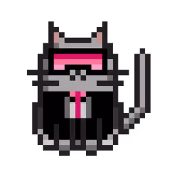 Cat #429