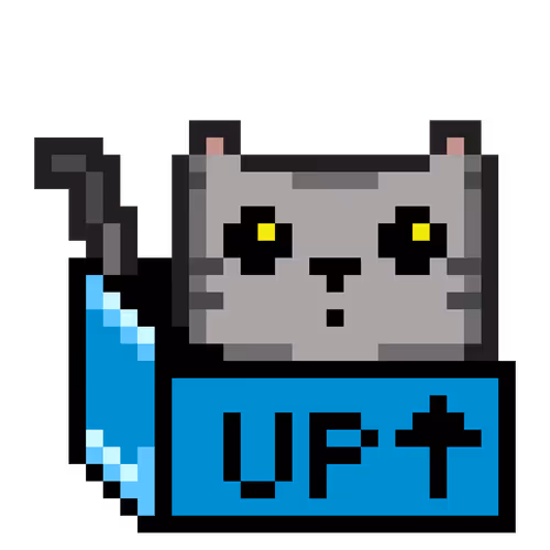 Cat #240