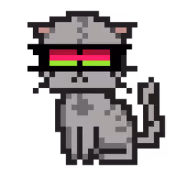 Cat #458