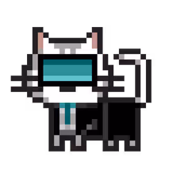 Cat #343