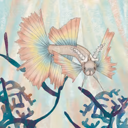 Spine-horned Fish