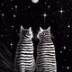 Reach for the Stars