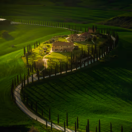 Under the Tuscan sun