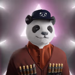808