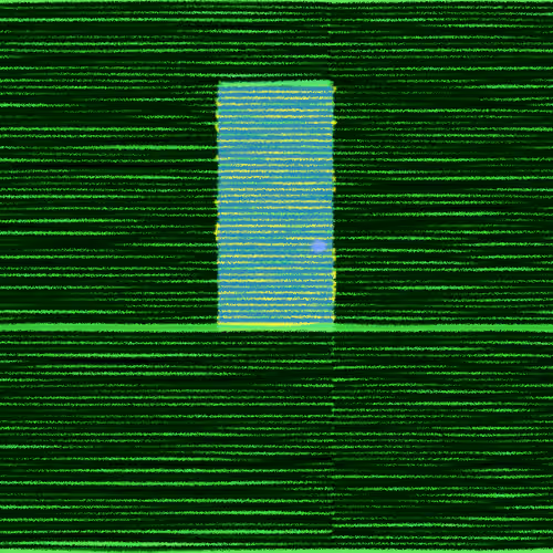 "Magical" Door #299