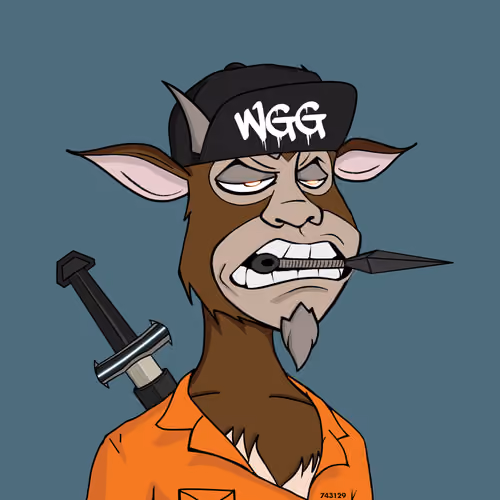 Wild Goat Gang #1588