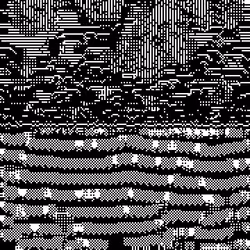 COLORS OF NOISE #24