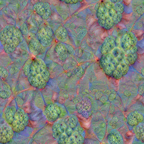  Custard Apple, 2015/05 DeepDream by Alex Mordvintsev
