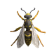 99