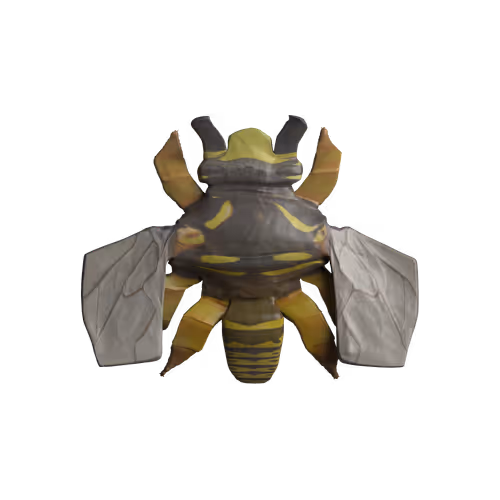 Rock Hyphen Orchid Wasp