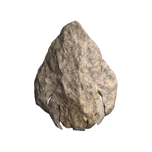 Rock Hyphen Orchid Wasp