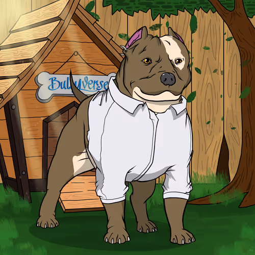 Bullyverse Old