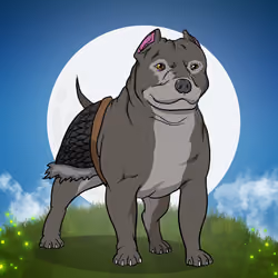 Bully #1365