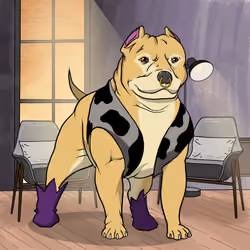 Bully #2433