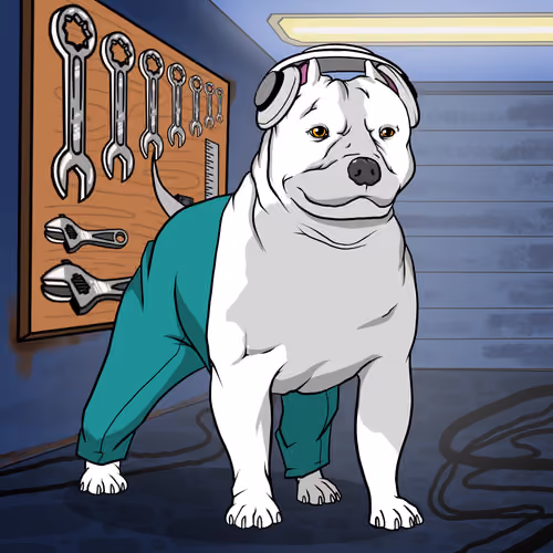 Bully #1525