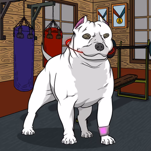 Bully #641