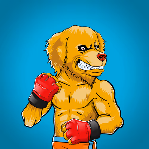 Marshall Fight Club
