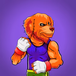 Fighter #506