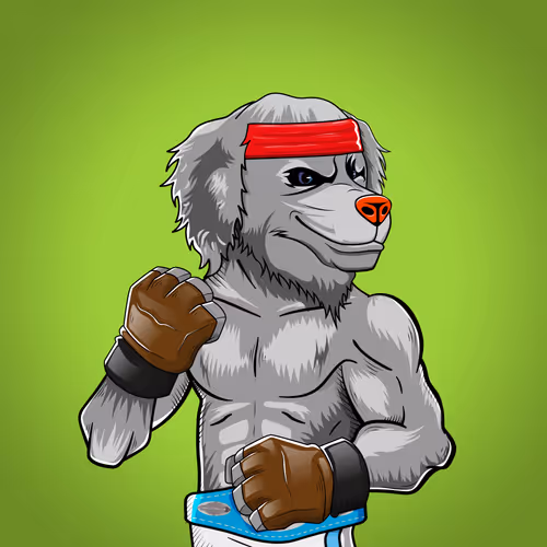 Marshall Fight Club