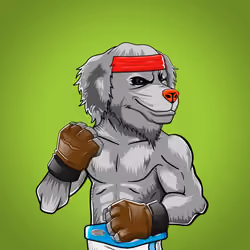 Fighter #3239