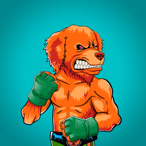 Marshall Fight Club