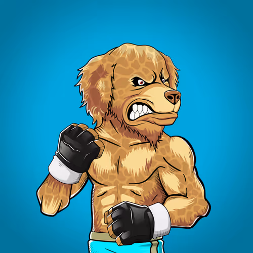 Marshall Fight Club
