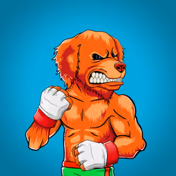 Fighter #1071