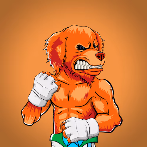 Marshall Fight Club