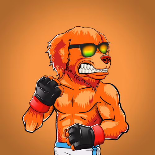 Marshall Fight Club