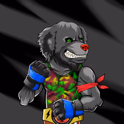 Fighter #791