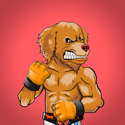 Marshall Fight Club