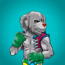 Fighter #380