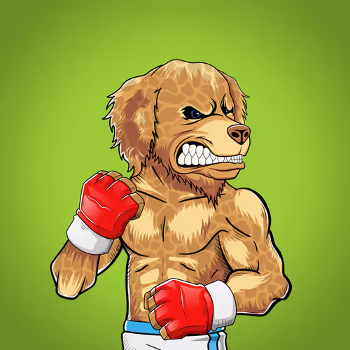Marshall Fight Club