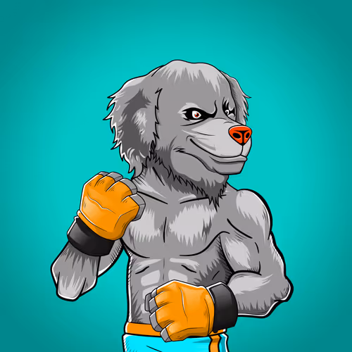 Marshall Fight Club