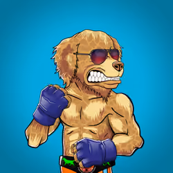 Fighter #501