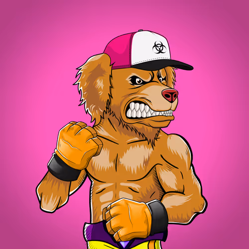 Fighter #3987