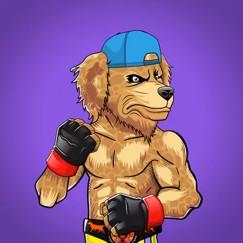 Marshall Fight Club