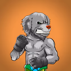 Fighter #1069