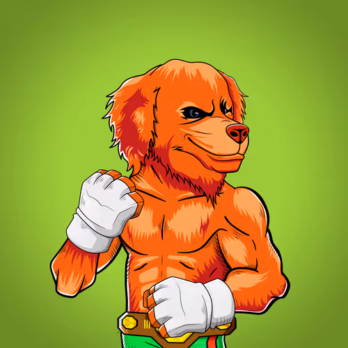 Marshall Fight Club