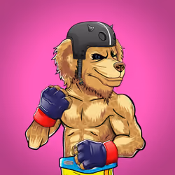 Fighter #3636