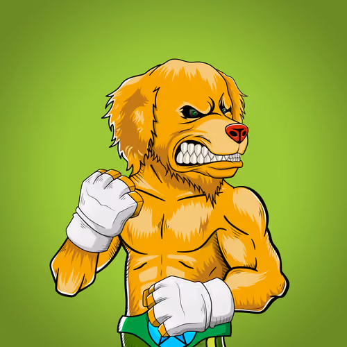 Fighter #4284