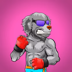 Fighter #504