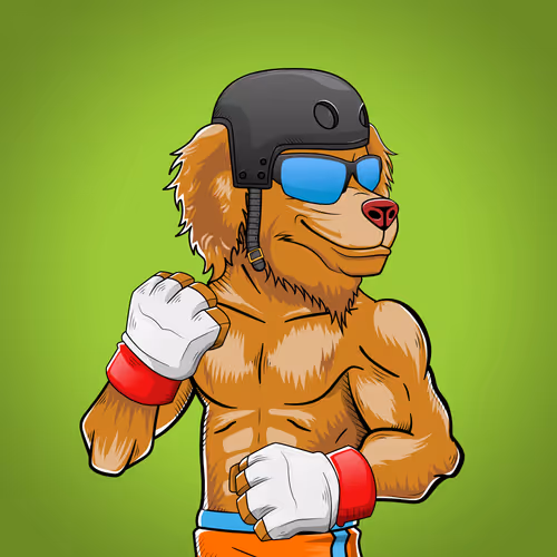 Marshall Fight Club