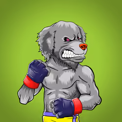 Fighter #373