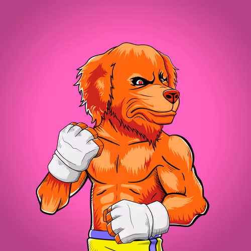 Fighter #2684