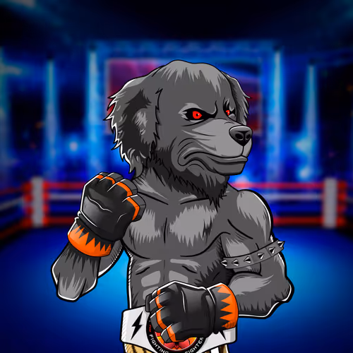 Marshall Fight Club