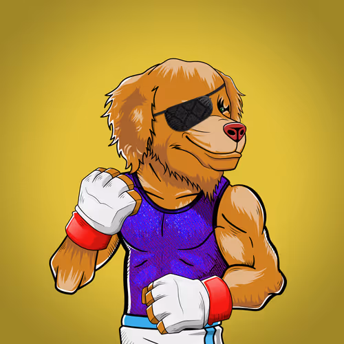 Marshall Fight Club