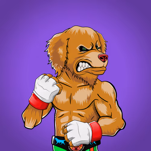 Marshall Fight Club