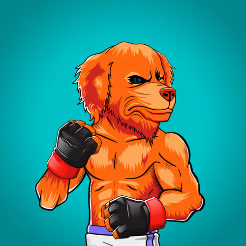 Marshall Fight Club