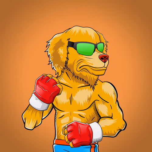 Marshall Fight Club